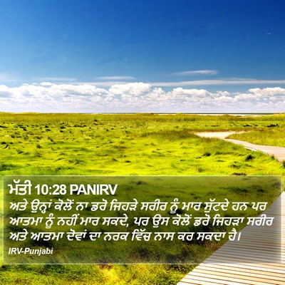 ਮੱਤੀ 10:28 PANIRV Bible Verse Image