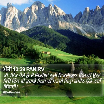 ਮੱਤੀ 10:29 PANIRV Bible Verse Image