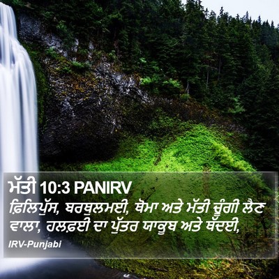 ਮੱਤੀ 10:3 PANIRV Bible Verse Image