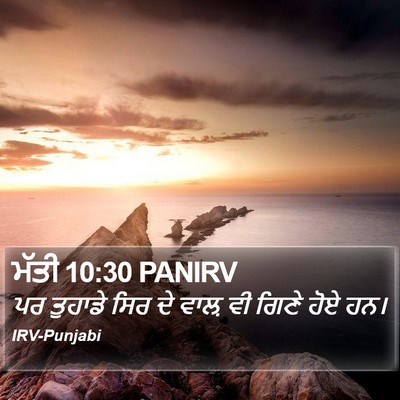 ਮੱਤੀ 10:30 PANIRV Bible Verse Image