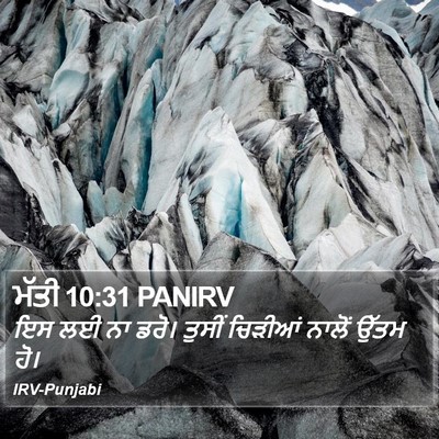 ਮੱਤੀ 10:31 PANIRV Bible Verse Image