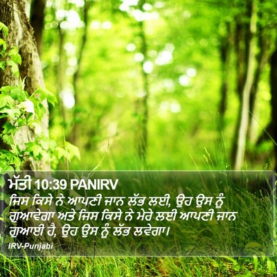 ਮੱਤੀ 10:39 PANIRV Bible Verse Image