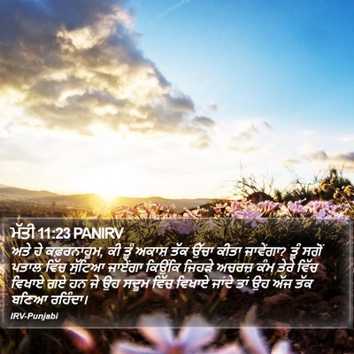 ਮੱਤੀ 11:23 PANIRV Bible Verse Image