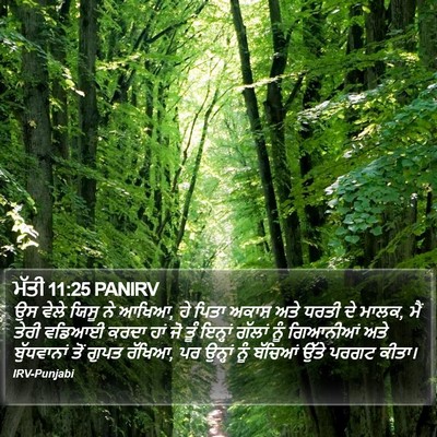 ਮੱਤੀ 11:25 PANIRV Bible Verse Image