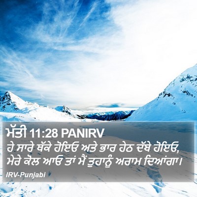 ਮੱਤੀ 11:28 PANIRV Bible Verse Image
