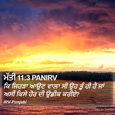 ਮੱਤੀ 11:3 PANIRV Bible Verse Image