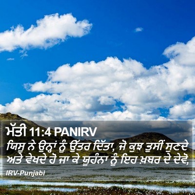 ਮੱਤੀ 11:4 PANIRV Bible Verse Image