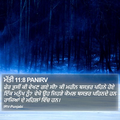 ਮੱਤੀ 11:8 PANIRV Bible Verse Image