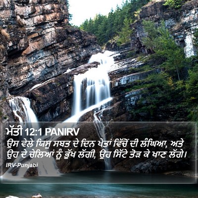 ਮੱਤੀ 12:1 PANIRV Bible Verse Image