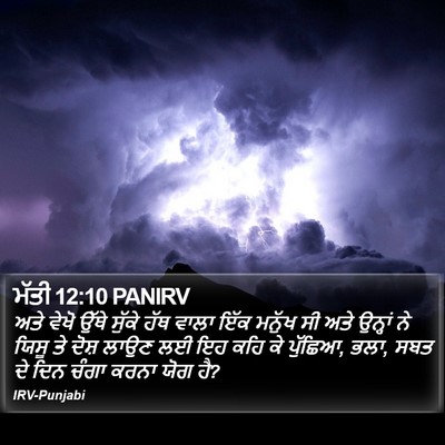 ਮੱਤੀ 12:10 PANIRV Bible Verse Image