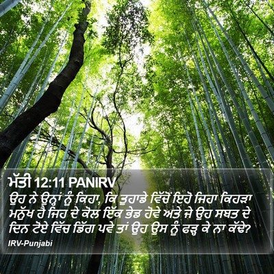 ਮੱਤੀ 12:11 PANIRV Bible Verse Image