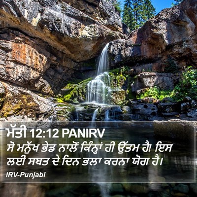ਮੱਤੀ 12:12 PANIRV Bible Verse Image