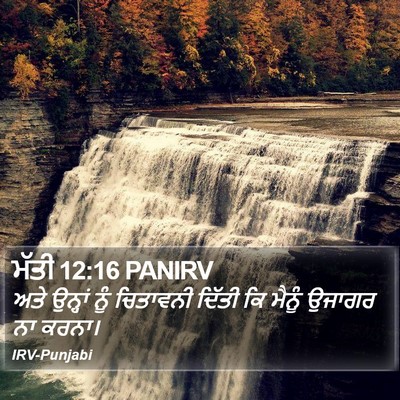 ਮੱਤੀ 12:16 PANIRV Bible Verse Image