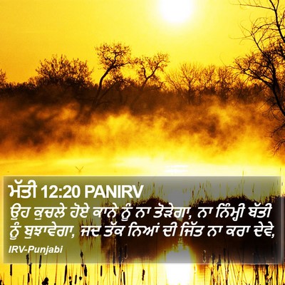 ਮੱਤੀ 12:20 PANIRV Bible Verse Image
