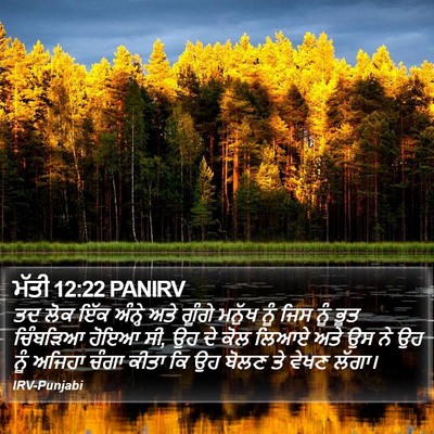 ਮੱਤੀ 12:22 PANIRV Bible Verse Image