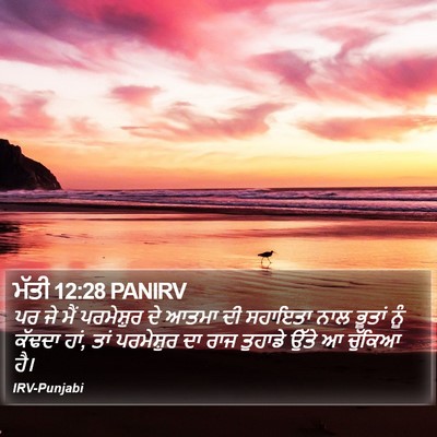 ਮੱਤੀ 12:28 PANIRV Bible Verse Image