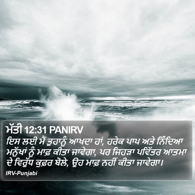 ਮੱਤੀ 12:31 PANIRV Bible Verse Image