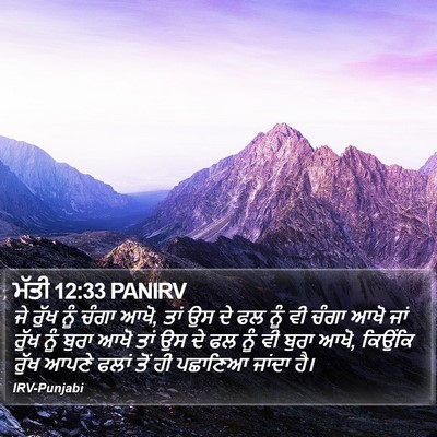 ਮੱਤੀ 12:33 PANIRV Bible Verse Image