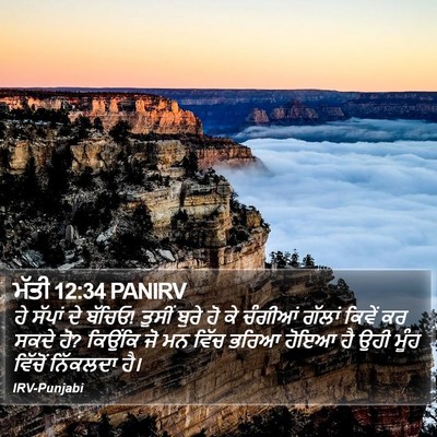 ਮੱਤੀ 12:34 PANIRV Bible Verse Image
