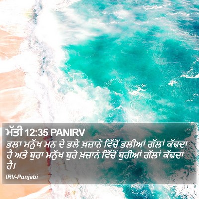 ਮੱਤੀ 12:35 PANIRV Bible Verse Image