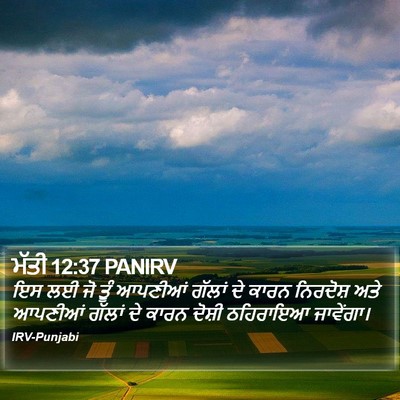 ਮੱਤੀ 12:37 PANIRV Bible Verse Image