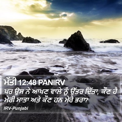 ਮੱਤੀ 12:48 PANIRV Bible Verse Image