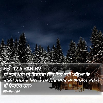 ਮੱਤੀ 12:5 PANIRV Bible Verse Image
