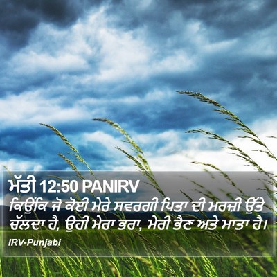 ਮੱਤੀ 12:50 PANIRV Bible Verse Image