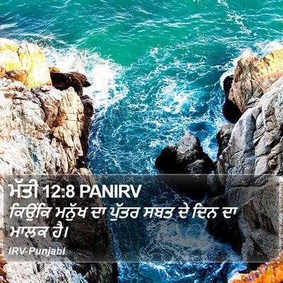 ਮੱਤੀ 12:8 PANIRV Bible Verse Image