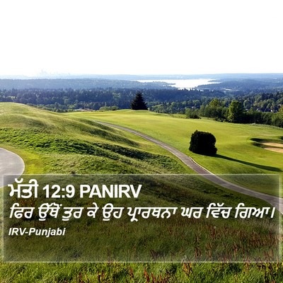 ਮੱਤੀ 12:9 PANIRV Bible Verse Image