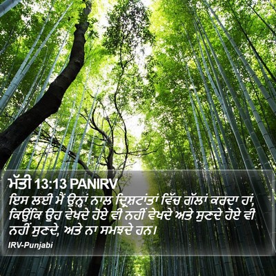 ਮੱਤੀ 13:13 PANIRV Bible Verse Image