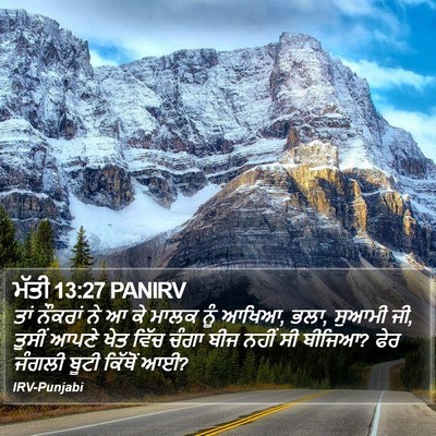 ਮੱਤੀ 13:27 PANIRV Bible Verse Image