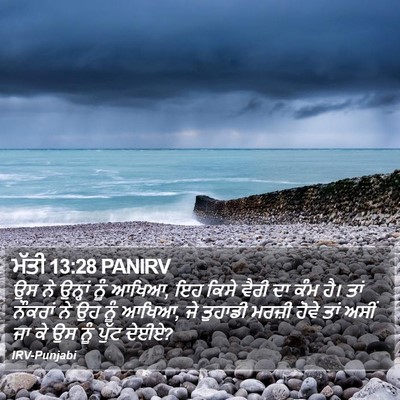 ਮੱਤੀ 13:28 PANIRV Bible Verse Image