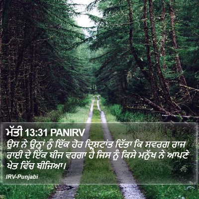 ਮੱਤੀ 13:31 PANIRV Bible Verse Image
