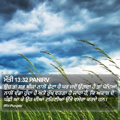 ਮੱਤੀ 13:32 PANIRV Bible Verse Image