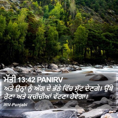 ਮੱਤੀ 13:42 PANIRV Bible Verse Image