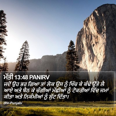 ਮੱਤੀ 13:48 PANIRV Bible Verse Image