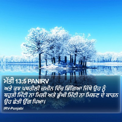 ਮੱਤੀ 13:5 PANIRV Bible Verse Image