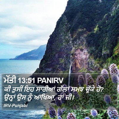 ਮੱਤੀ 13:51 PANIRV Bible Verse Image