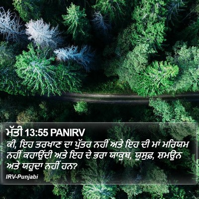 ਮੱਤੀ 13:55 PANIRV Bible Verse Image