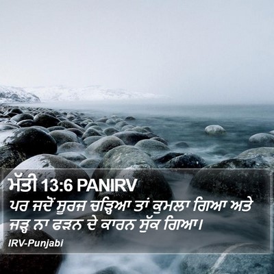 ਮੱਤੀ 13:6 PANIRV Bible Verse Image