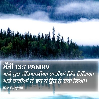 ਮੱਤੀ 13:7 PANIRV Bible Verse Image
