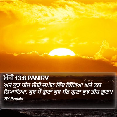 ਮੱਤੀ 13:8 PANIRV Bible Verse Image