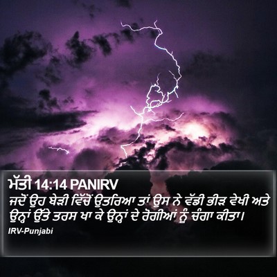 ਮੱਤੀ 14:14 PANIRV Bible Verse Image