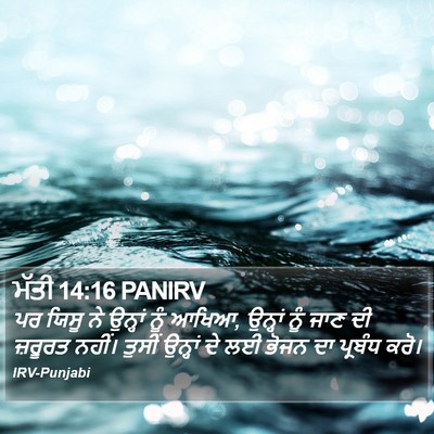 ਮੱਤੀ 14:16 PANIRV Bible Verse Image