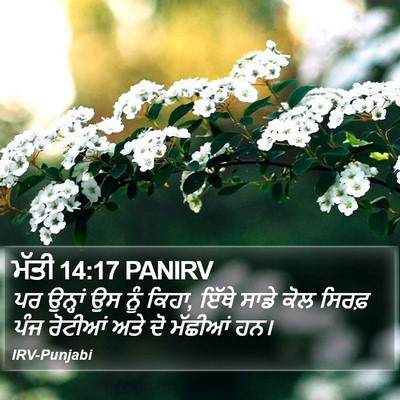 ਮੱਤੀ 14:17 PANIRV Bible Verse Image