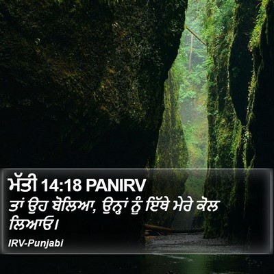 ਮੱਤੀ 14:18 PANIRV Bible Verse Image