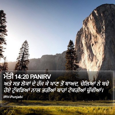 ਮੱਤੀ 14:20 PANIRV Bible Verse Image