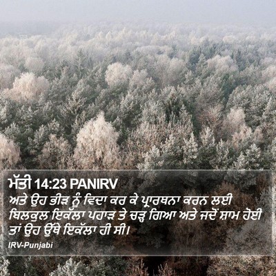 ਮੱਤੀ 14:23 PANIRV Bible Verse Image