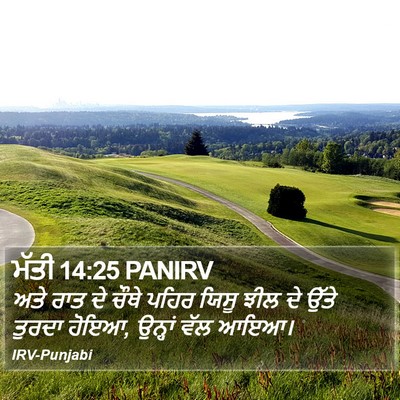 ਮੱਤੀ 14:25 PANIRV Bible Verse Image
